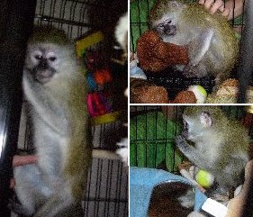 2/20/2008
