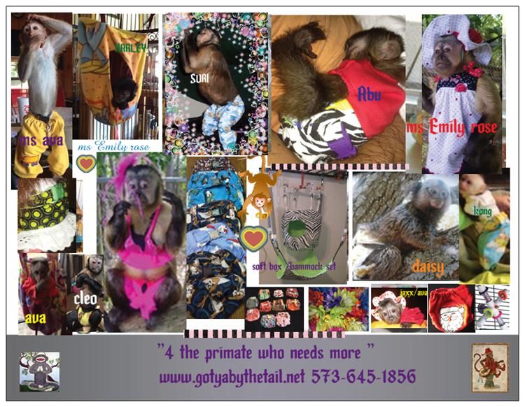 Primate Store primate diets, monkey treats, and enrichment toys