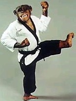 Karate Chimp